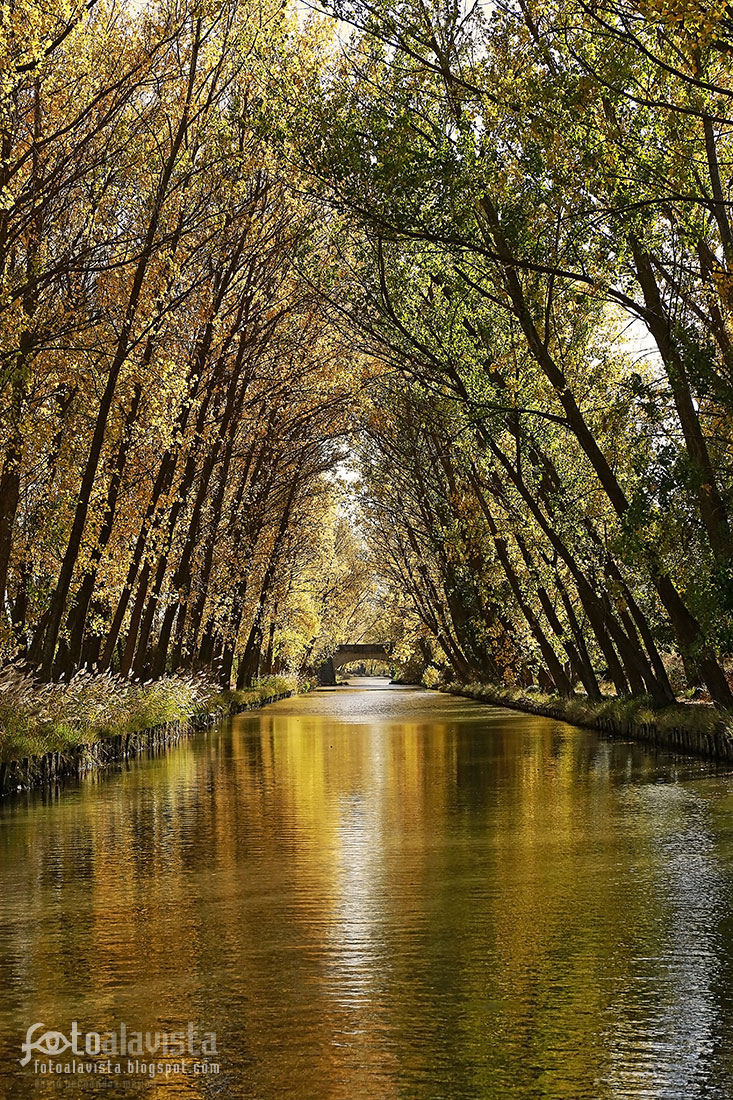 Desde el río, reflejos dorados - Fotografía artística